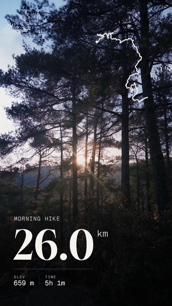A Cadence overlay — Morning hike, 26.0 km through pine forest at sunrise